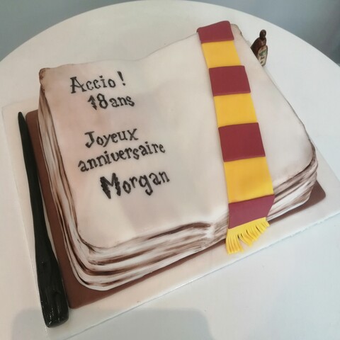 Gâteau harry potter