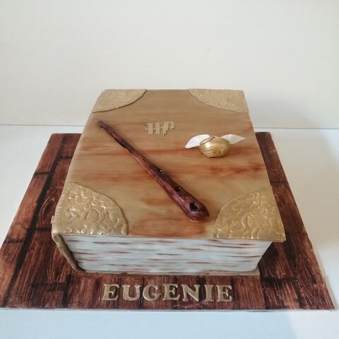 Gâteau harry potter