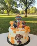 Gâteau Pat Patrouille 
